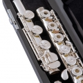 Selmer 411B in case close up